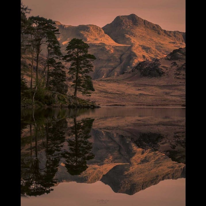 davidmccordphotography