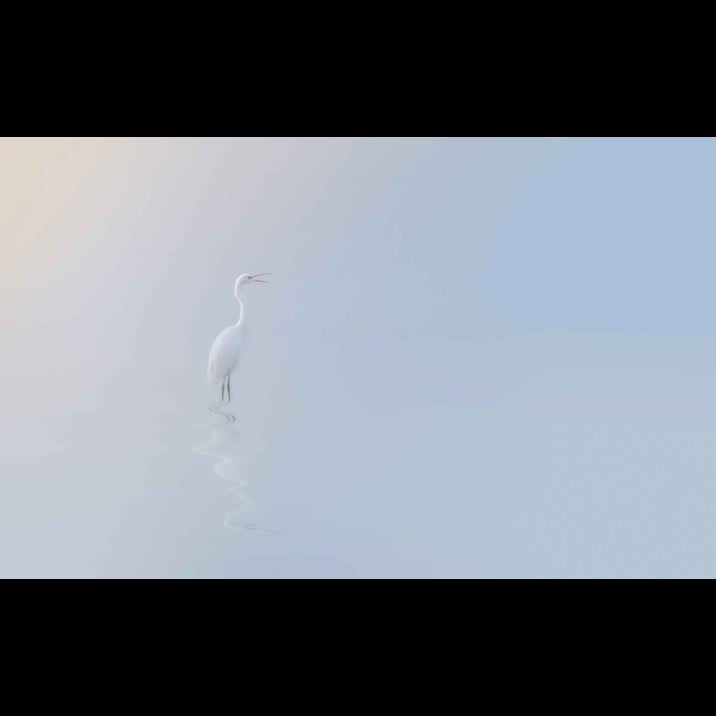@00MrWilson00