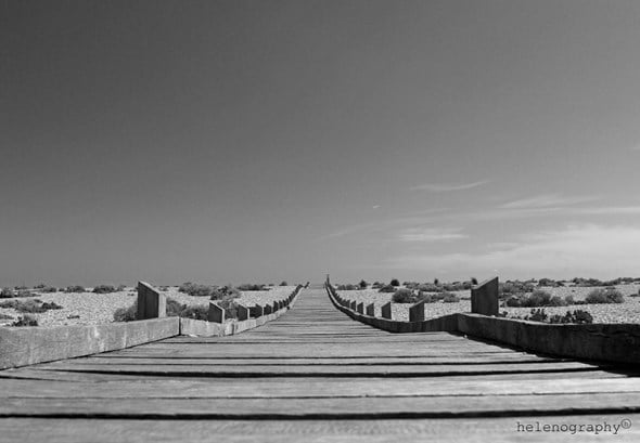 Wex - Dungeness Boardwalk Resized