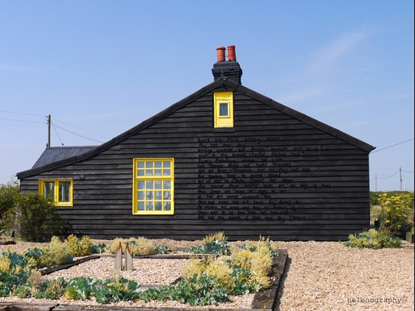 Wex - Yellow & Black House Resized