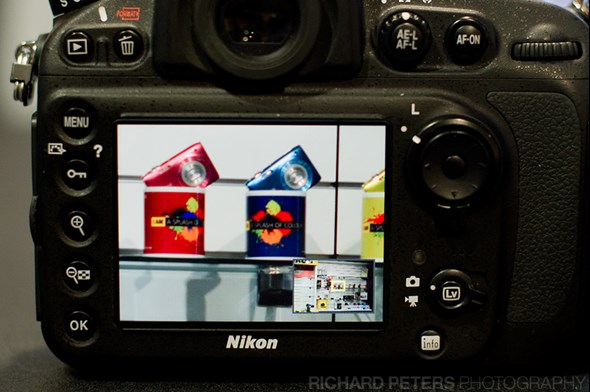 Nikon D800 Review Screen