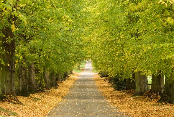 Batsford Avenue Batsford Avenue
