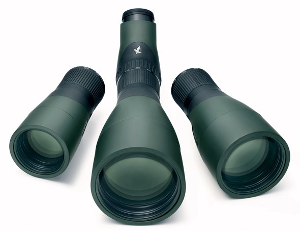 Swarovski - K12