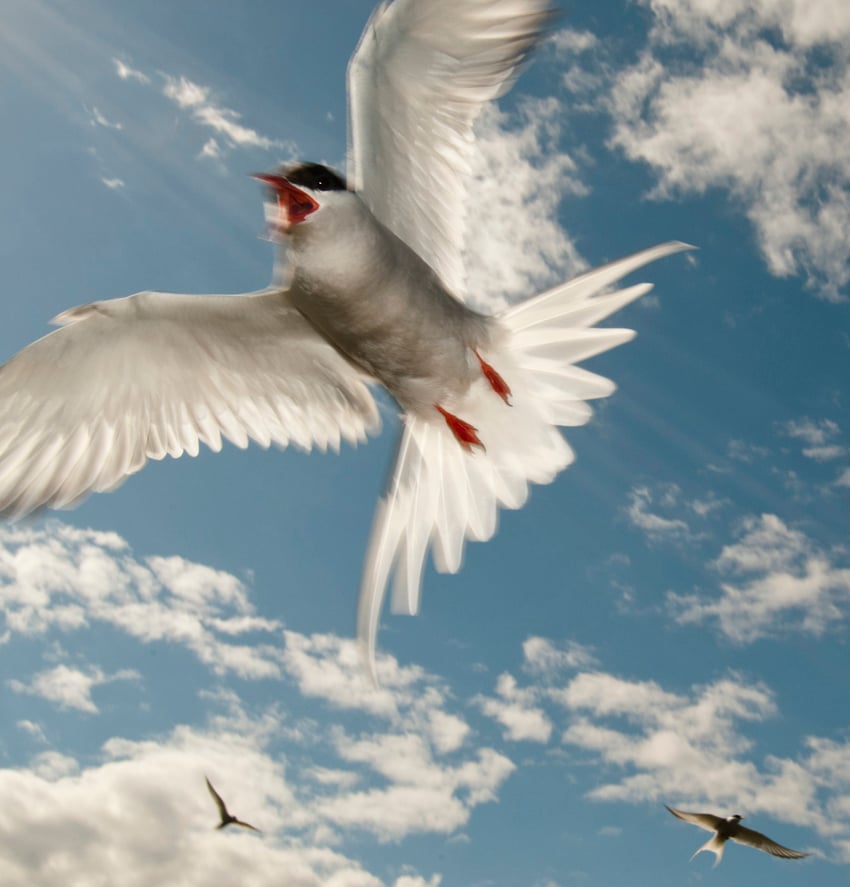 © Wex Photo Video Tom-Mason-How-to-photograph-movement.jpg