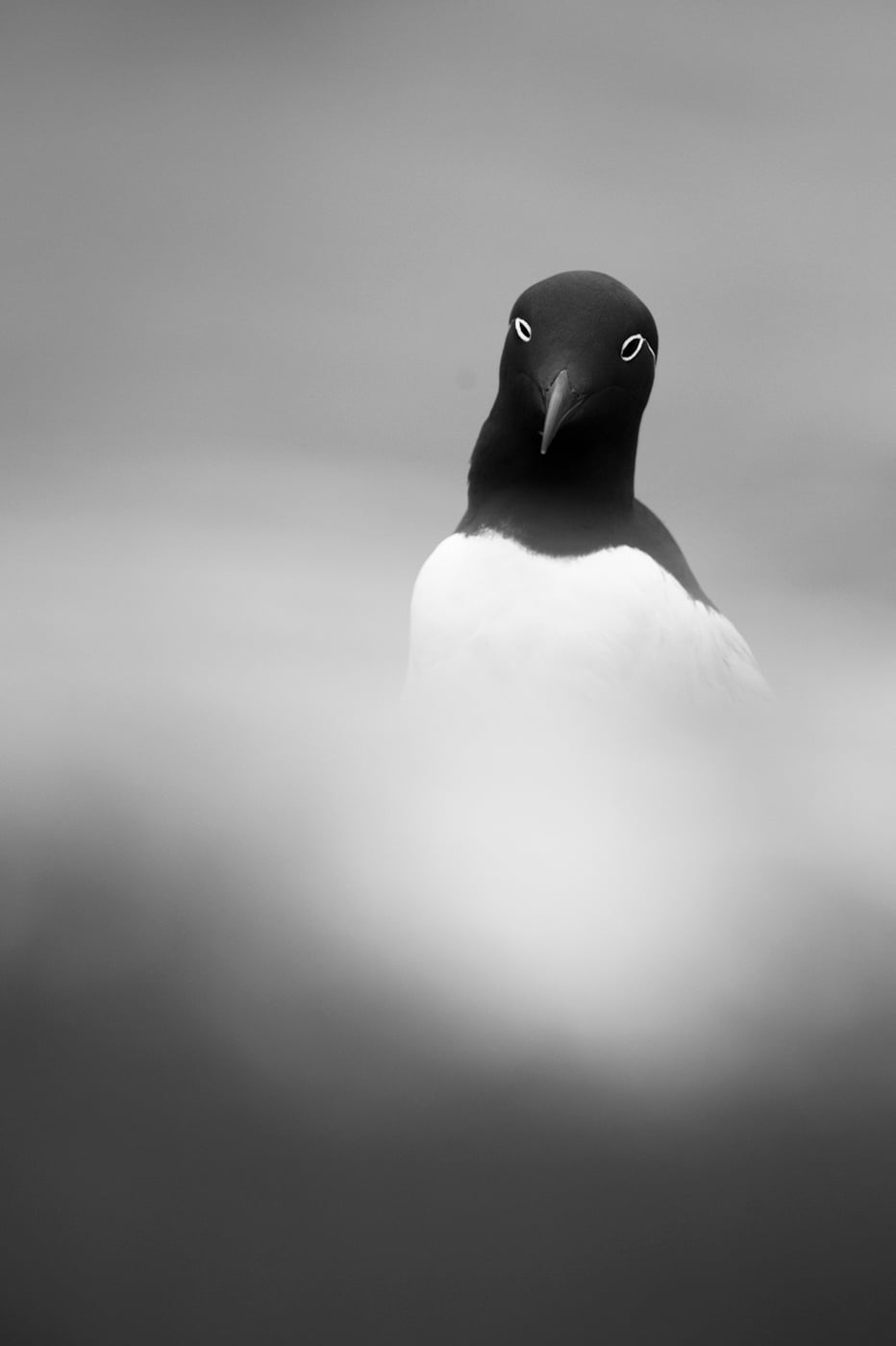 © Wex Photo Video Tom_Mason_June-01-2013-farnes2-_MAC1492.jpg