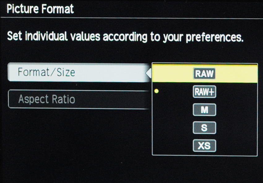 Raw-vs-JPEG.jpg