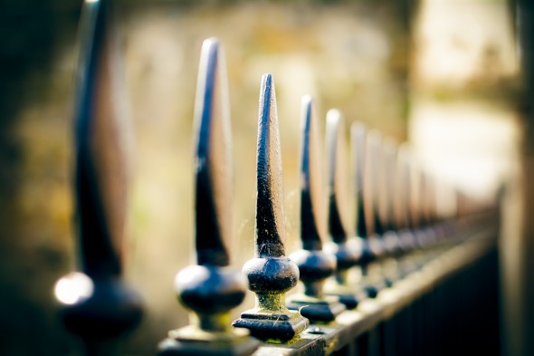 Life at 50mm: The most versatile focal length