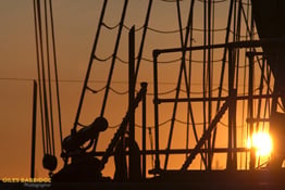 How to Create Silhouettes
