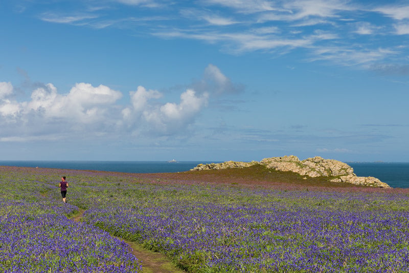 A Skomer Island Adventure