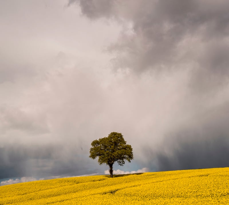 Composition – Keeping It Simple