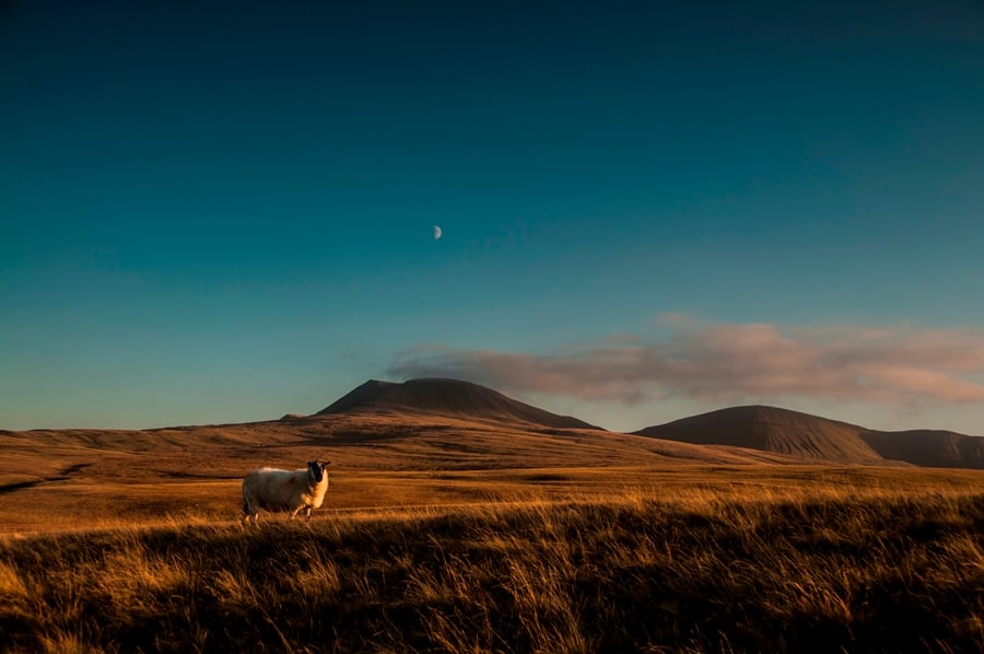Composition – Keeping It Simple