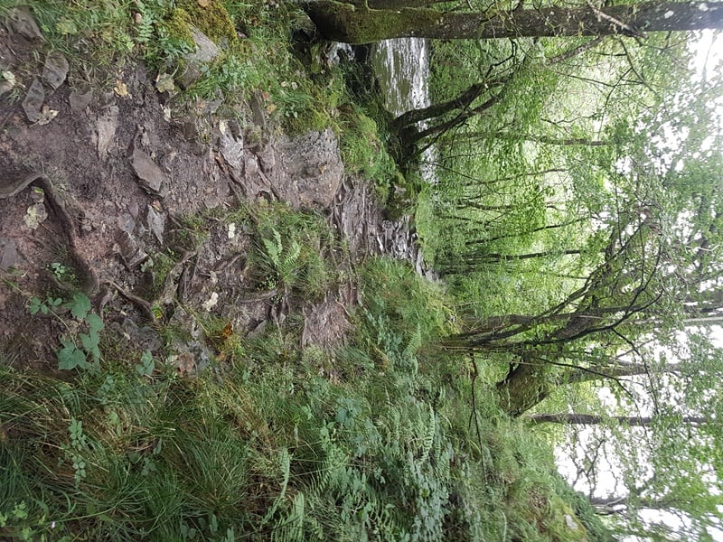 Photographing the Afon Nedd Waterfalls in the Brecon Beacons