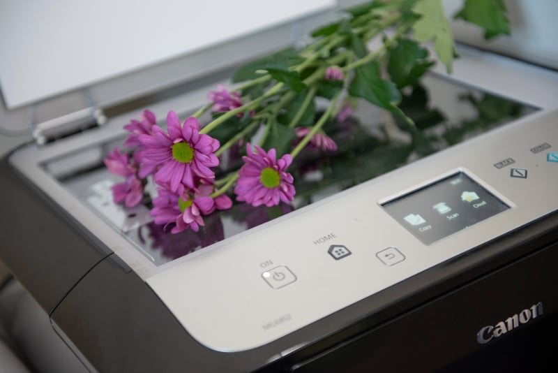Scanning photography