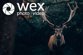 Wildlife photography is one of the most popular types of photography out there so we’ve collated a list of gift ideas that will actually be useful for your friend or family member.