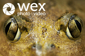Whether you’re just starting out or looking to refine your technique, these practical tips offer clear, straightforward guidance to help you get the most out of your macro photography.