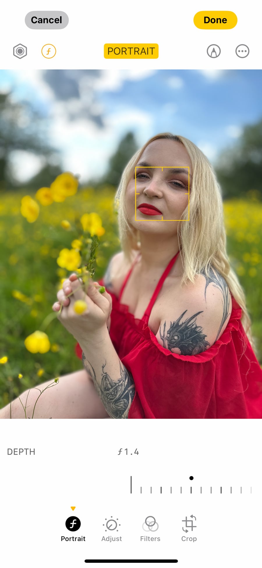 Comparing real and artificial depth of field