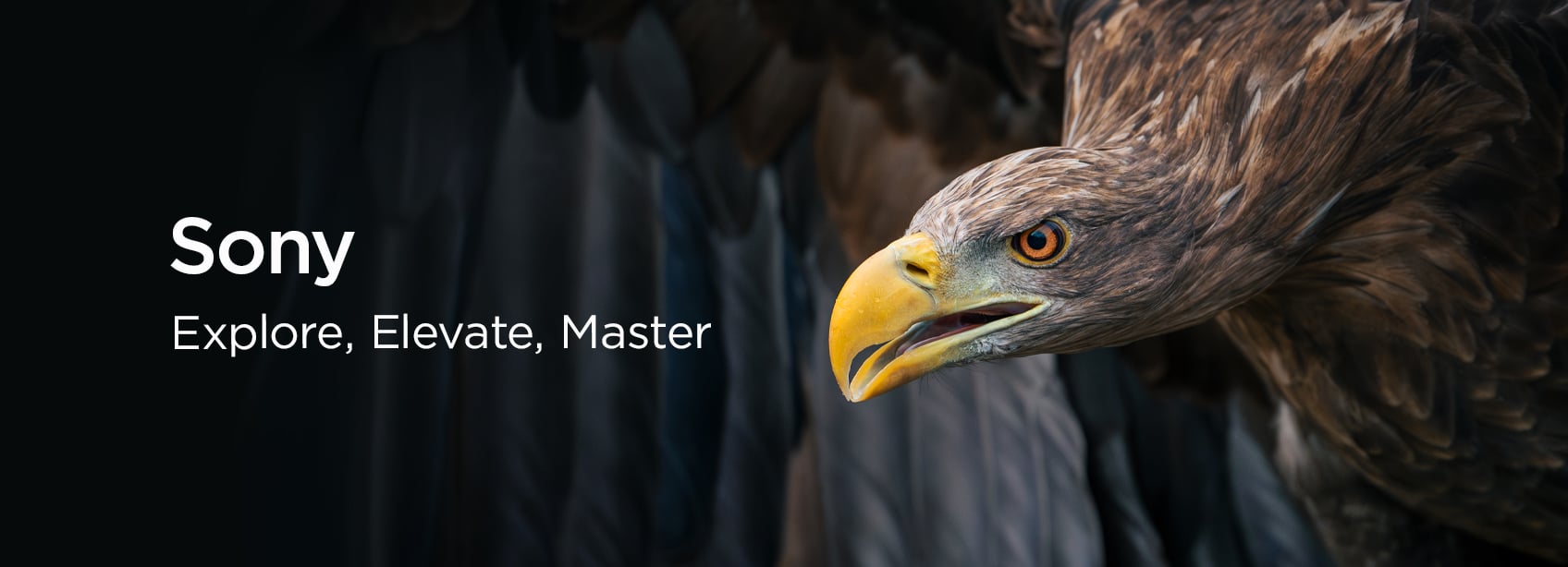 Sony-Generic-ElevateMaster-H-290825.jpg