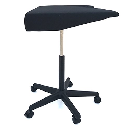 Used LuxS Studio Posing Table