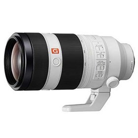 Sony FE 100-400mm f4.5-5.6 OSS GM Lens
