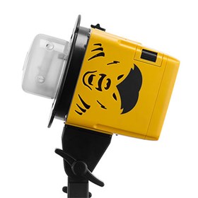 Interfit Honey Badger Unleashed 250w HSS / TTL Flash