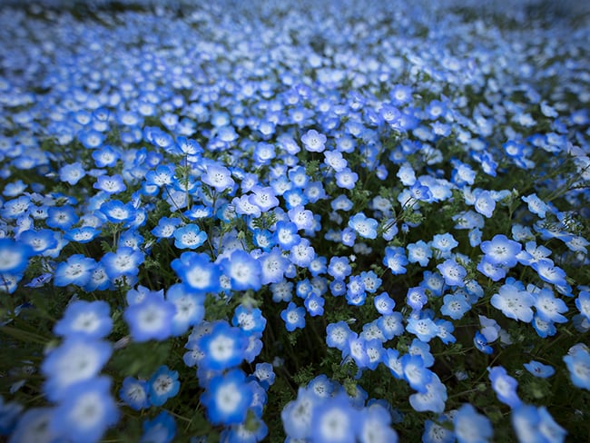 Sigma 14mm f1.8 sample image