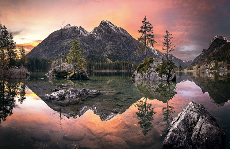 Sample Image